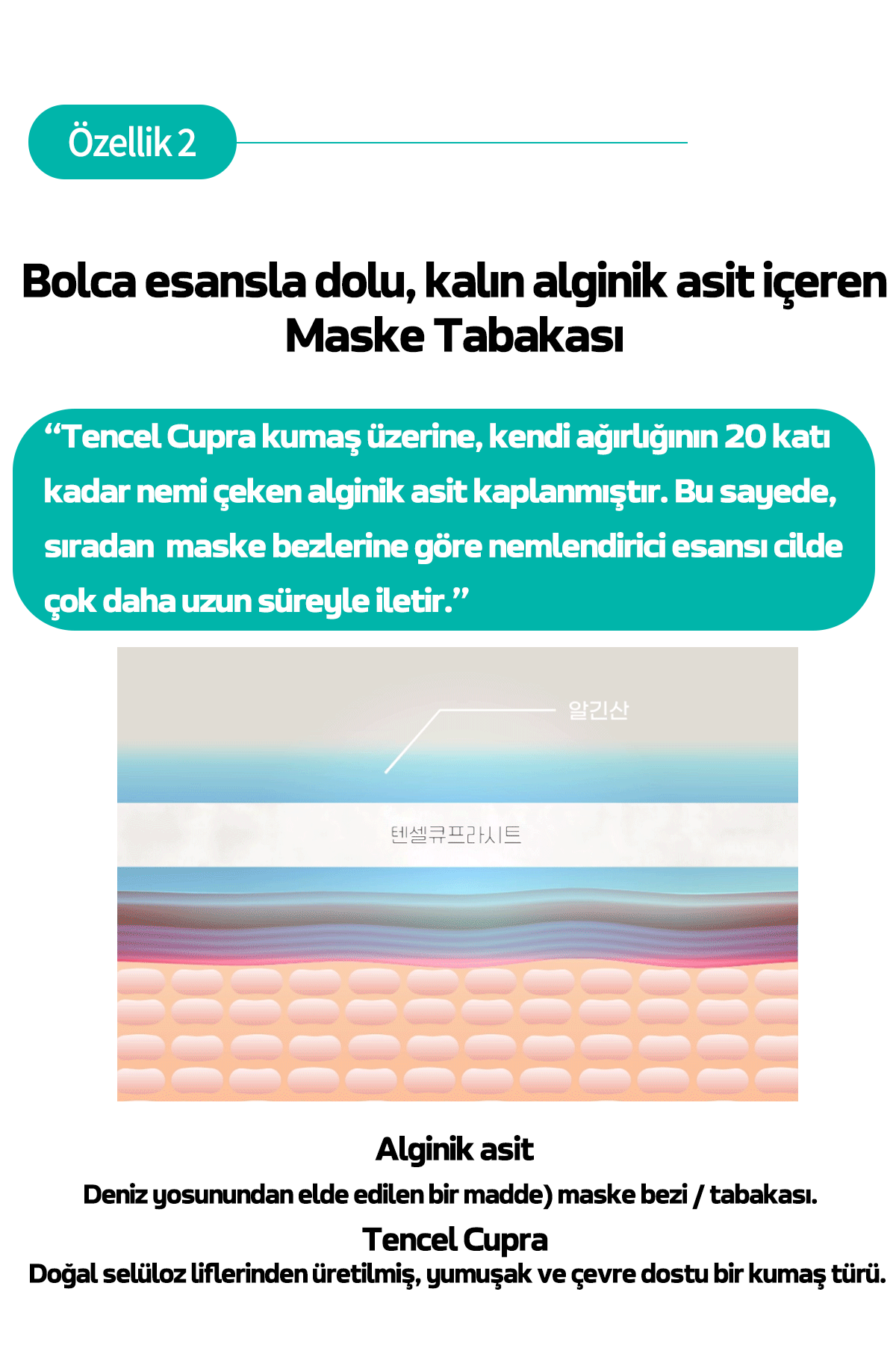 Text