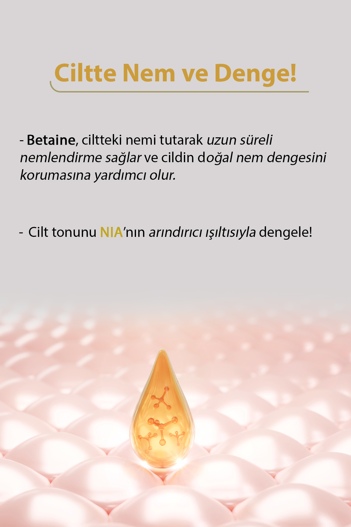 Text