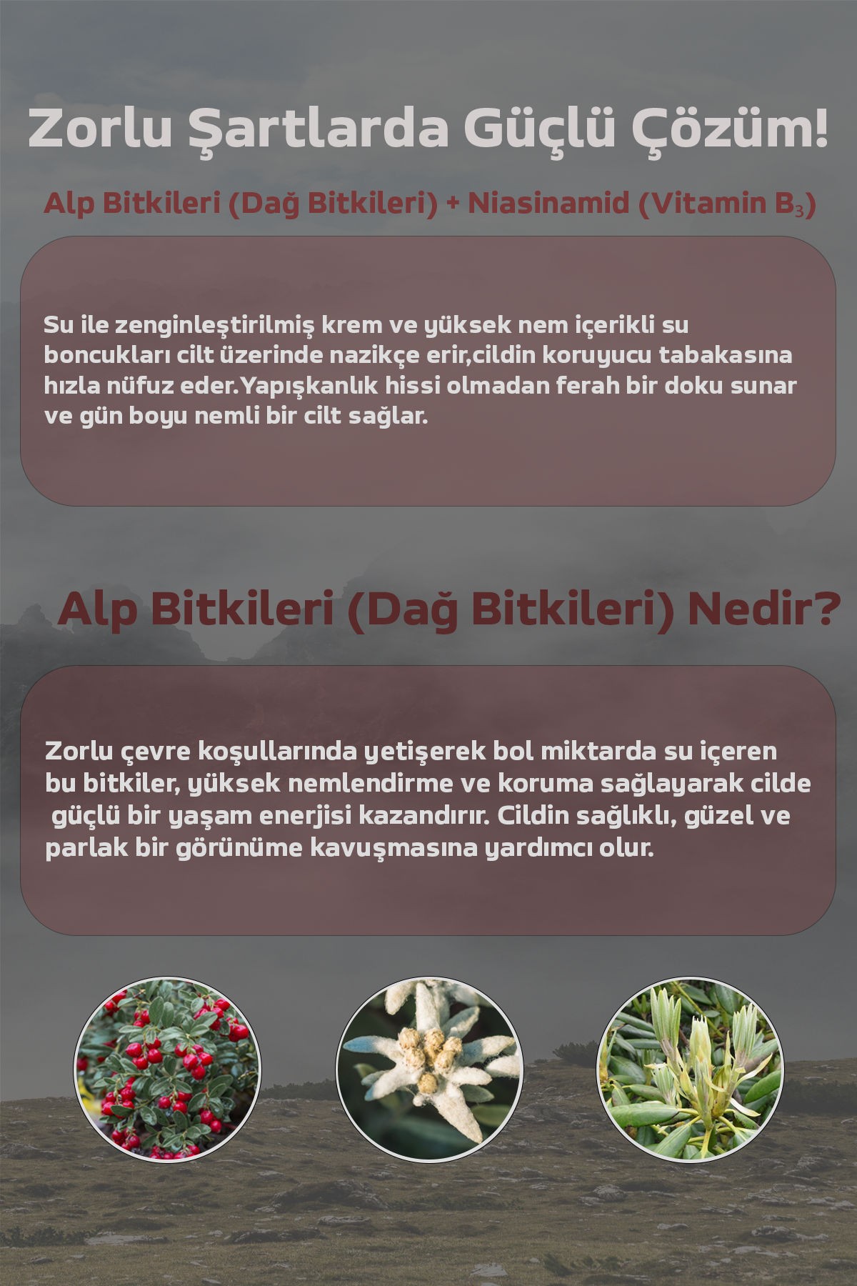 Text