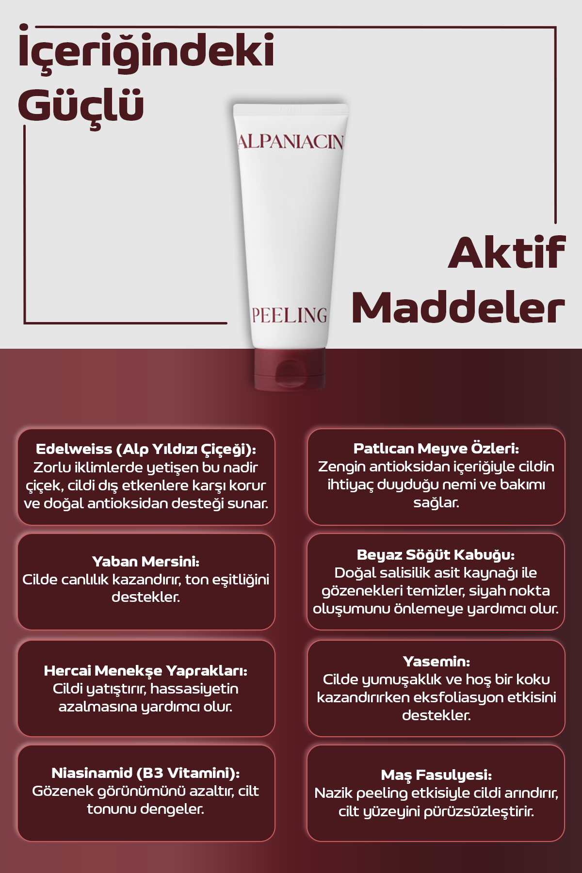 Text