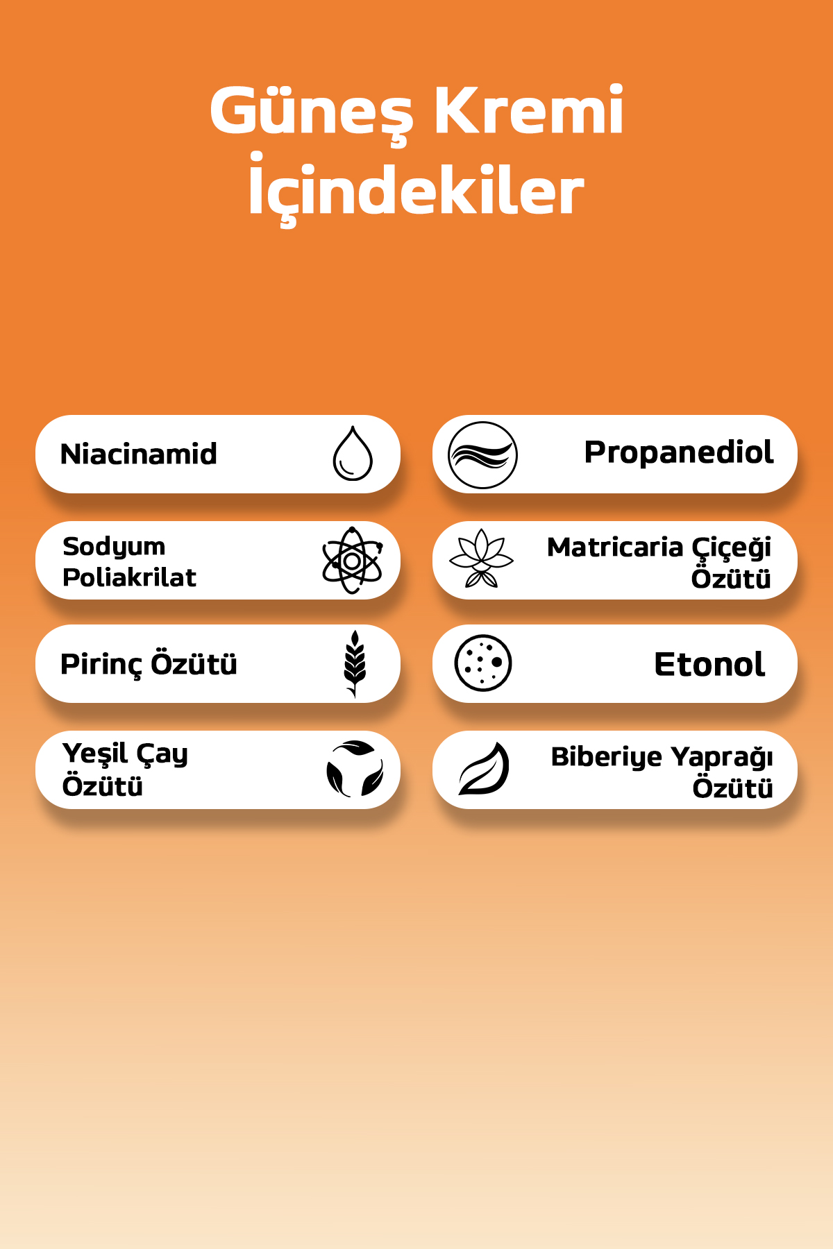 Text