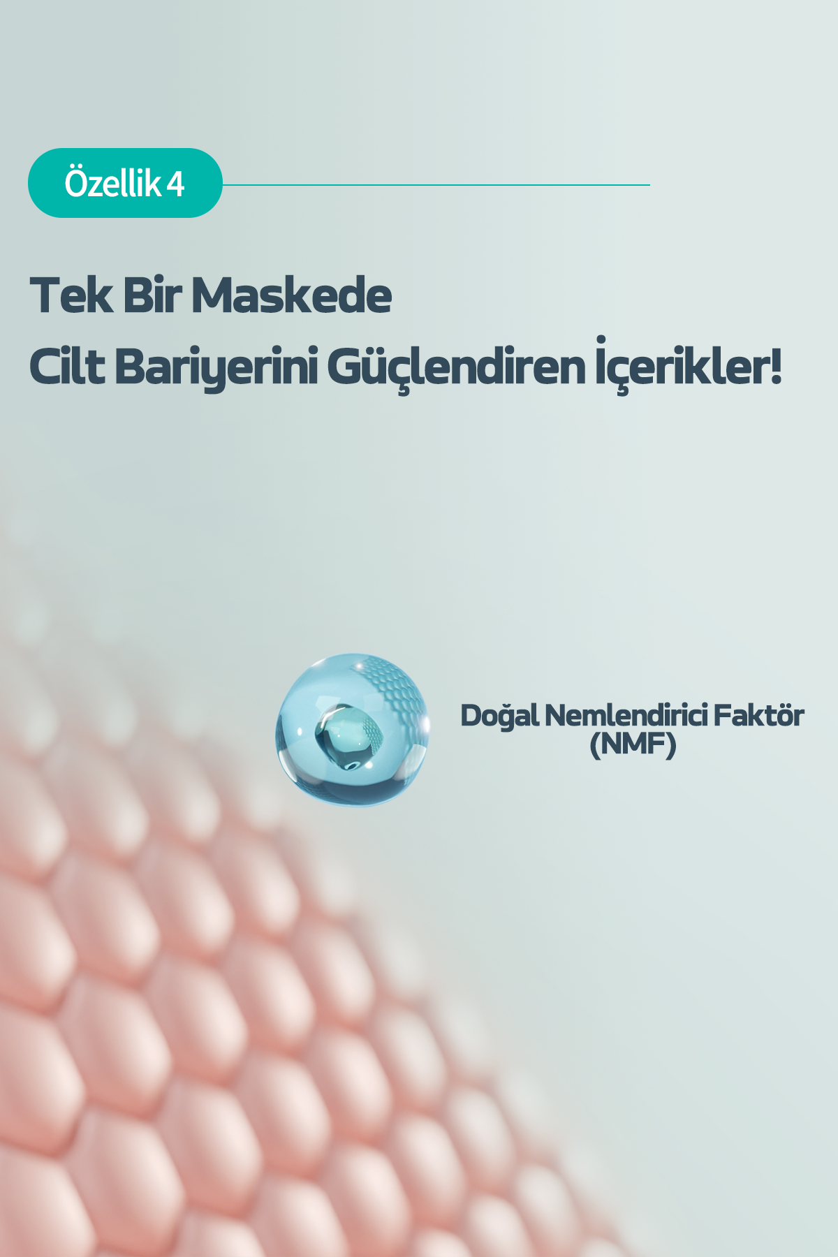 Text