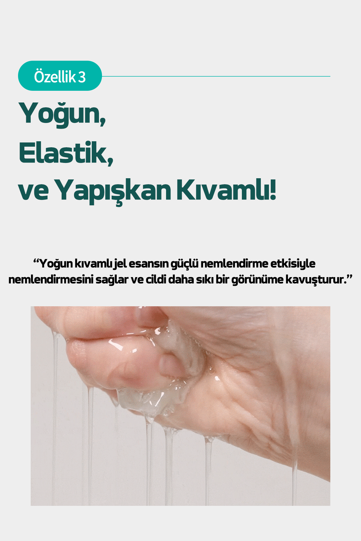 Text