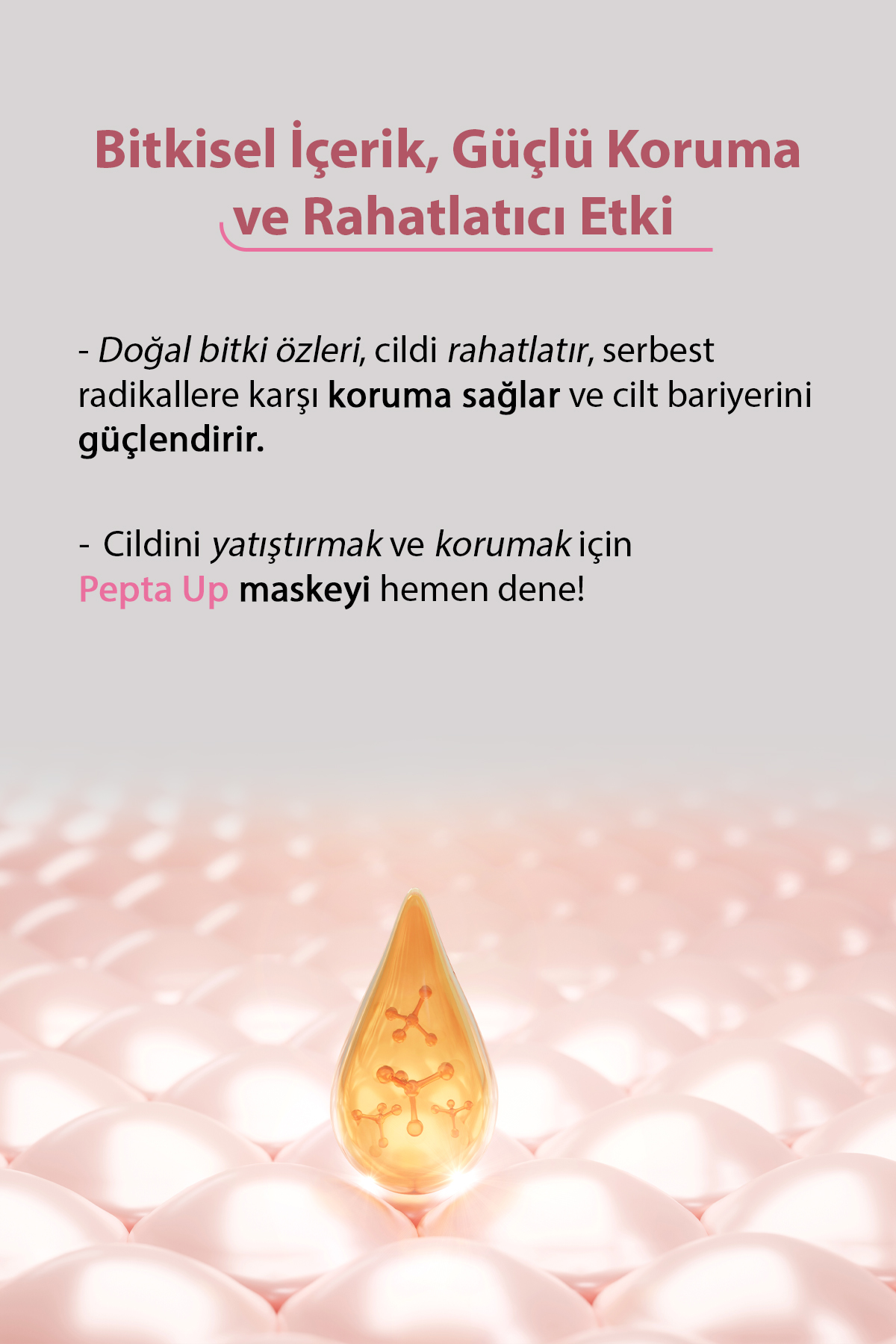 Text